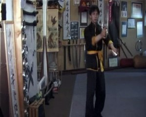 Butterfly Knives Form with Austin Goh Part 2