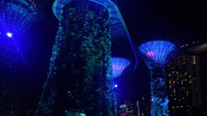 Giant Trees Music  amp  Light Singapore