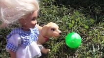 Elsa and Annas Children Dog Meet a Dragon! Barbie Chelsea Hans Doll Toddlers Puppy Toys In Action