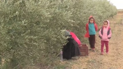En el país árabe más avanzado en derechos femeninos queda aún mucho por hacer