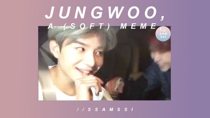 jungwoo, a (soft) meme, pt 1 //ssamssi