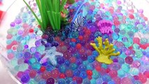 Colors Orbeez Aquarium Real Robotic Turtle Fish DIY Learn Colors Slime Foam Clay
