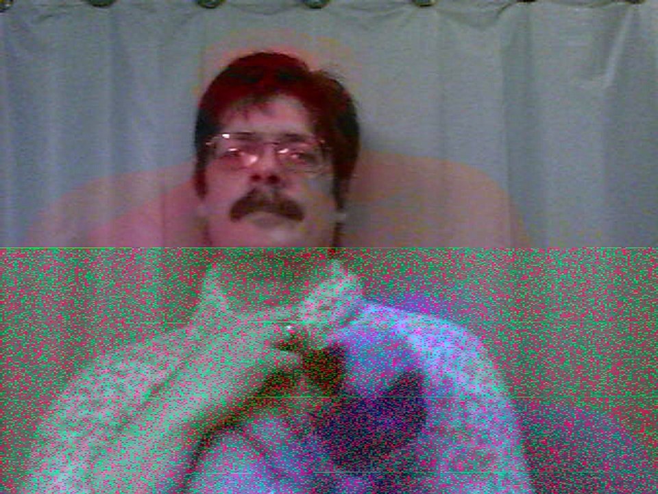 03. can cats like babies be left paw or right paw? cat facts.