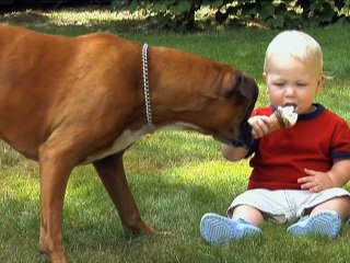 Baby Einstein First sounds 2 Part 2