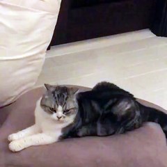 Taylor Swift Instagram