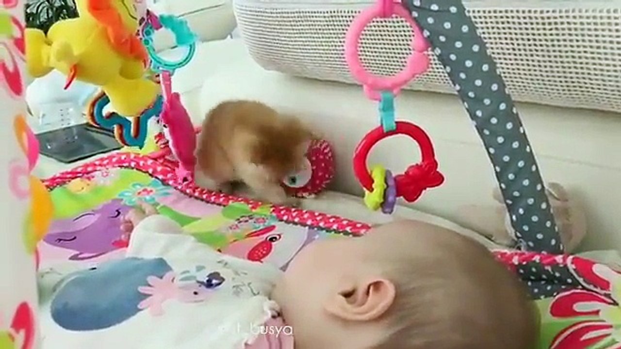 Chaton joue à côté du bébé.. Trop de mignonnerie !!