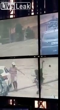 Stop d'un voleur par un chien en pleine poursuite avec la police !