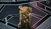 Man Charged With Grand Theft For Stealing Frances McDormand's Oscar