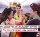 Spring on-board! PIA crew distributes gifts, amidst upbeat Pakistani songs to welcome the season
