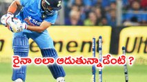 T20 Tri Series : Suresh Raina Trolled By Fans