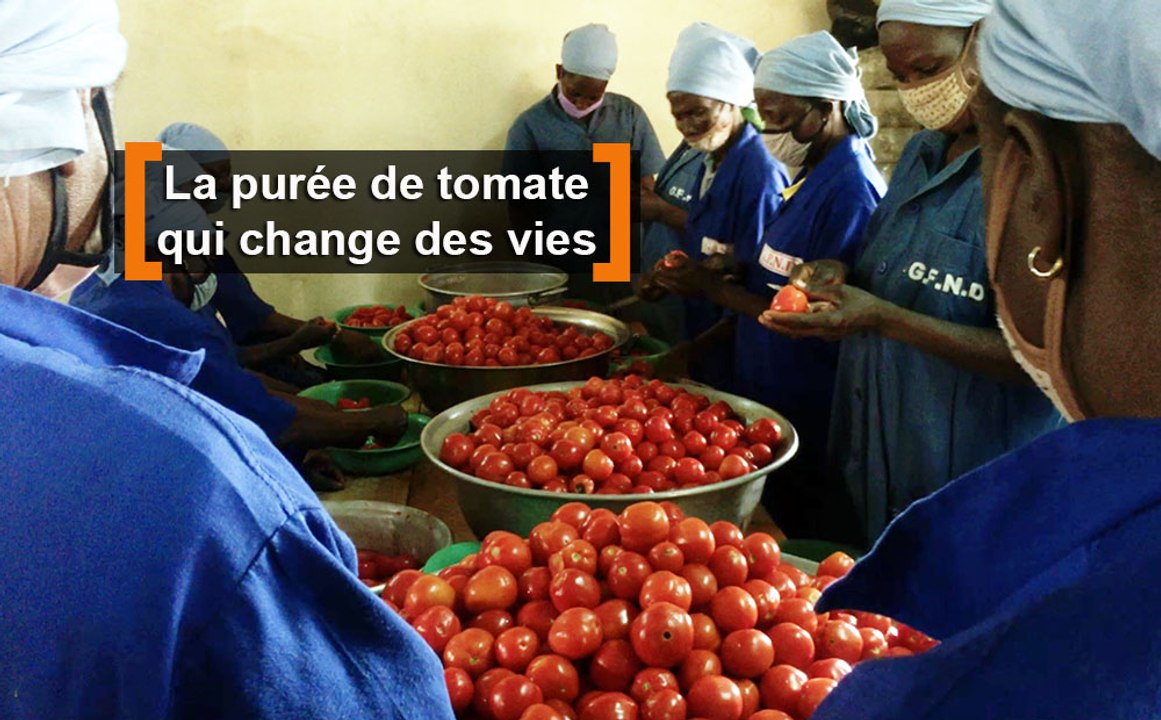 Burkina Faso : La purée de tomate qui change des vies