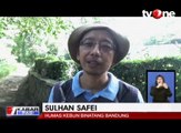 Heboh Pengunjung Kebun Binatang Beri Rokok ke Orangutan