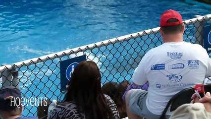 Funny Smart Cute Sea Lion Show