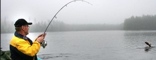 Fish hunting,imagining skilled man fishing by arrow,Smart Fishing Technique