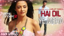 Hai Dil Ye Mera || Full Audio Song || Arijit Singh || Hate Story 2
