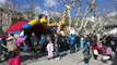 Alpes de Haute-Provence : Carnaval de Digne-Les-Bains