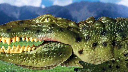 [EN] #62 Hungry crocodile likes Sharks, kids education Collecta figureㅣCoCosToy