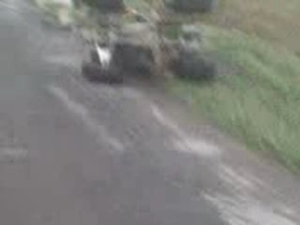 La chute