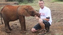 Un éléphanteau donne des coups de tête à un homme pendant qu'il enregistre une vidéo