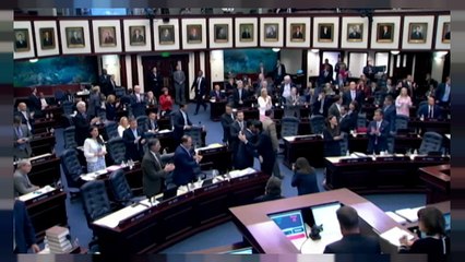 Florida restringe la venta de armas