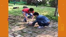 China and japanese mix funny video dikhao desi, funny video..2018 funny videos hindi,