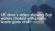 UK diver’s video showing Bali waters choked with plastic waste goes viral