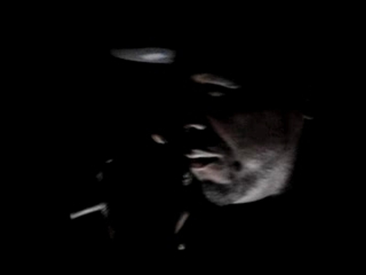 50CENT sur le podium en hauteur