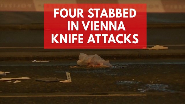 Four people seriously injured in Vienna knife attacks