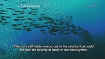 Philippine Seas, a documentary by Atom Araullo (full episode)
