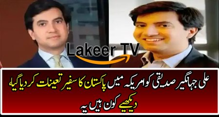 Ali Jahangir Siddiqui Appointed As envoy to US