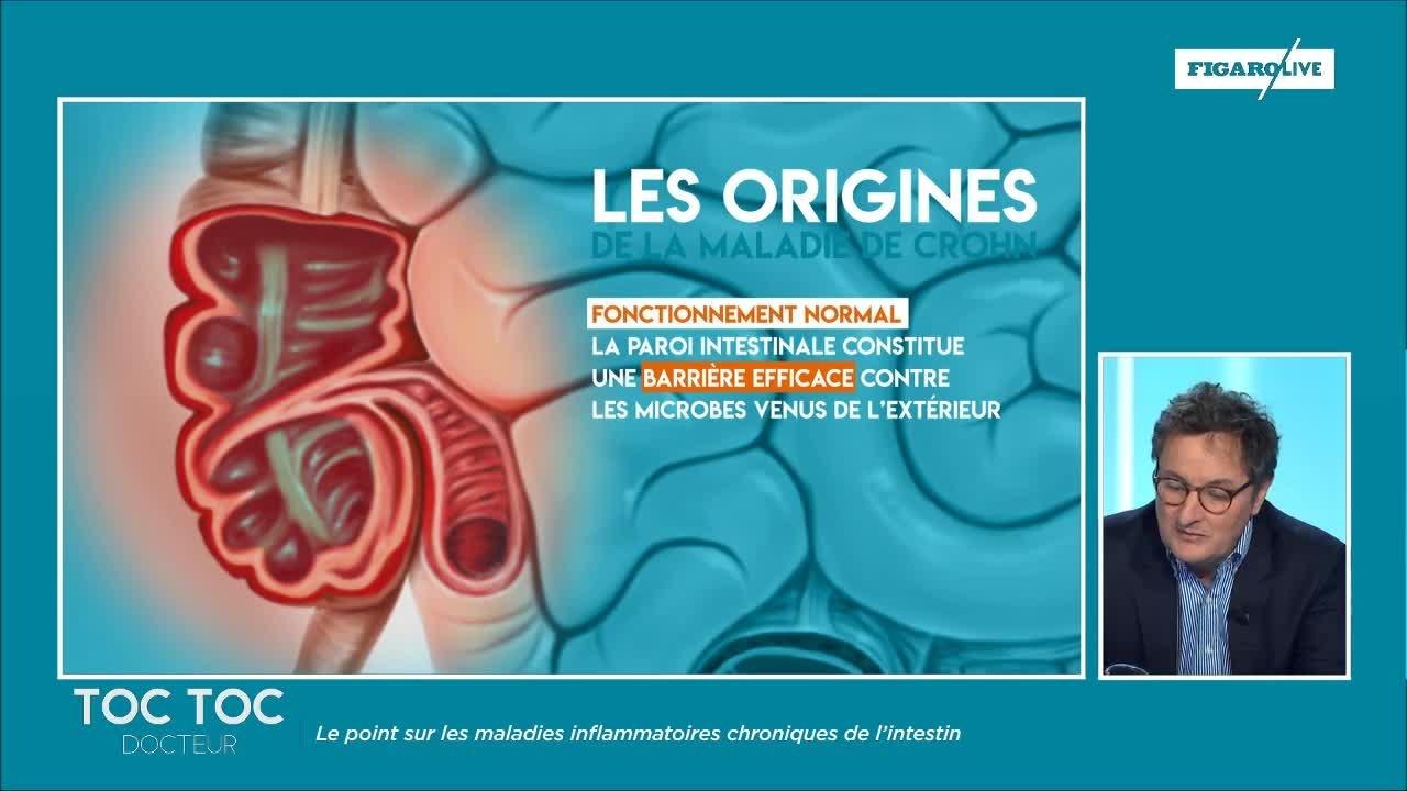 Quels sont les traitements pour soigner les maladies inflammatoires chroniques de l'intestin ?