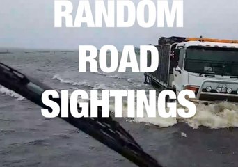 Random Road Sightings, Part 2