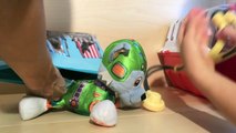 Nick Jrs Paw Patrol Pup Rocky Has Surgery from eating Shopkins!