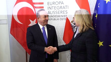Dışişleri Bakanı Çavuşoğlu, Avusturyalı mevkidaşı ile görüştü - VİYANA