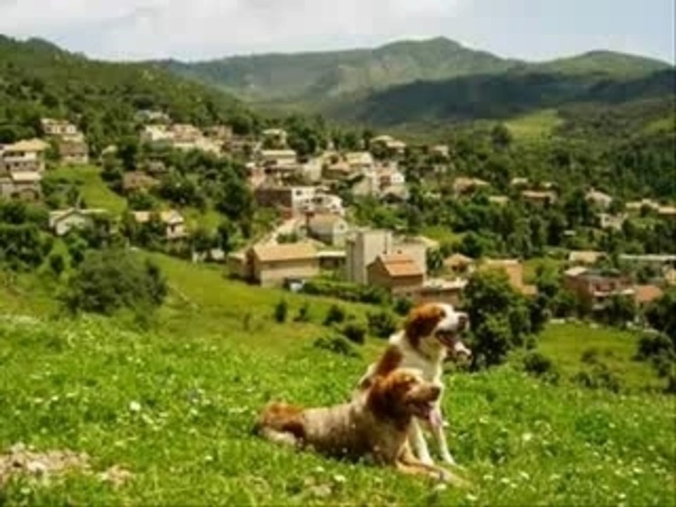 Farid Ferragui (nghati thismin)