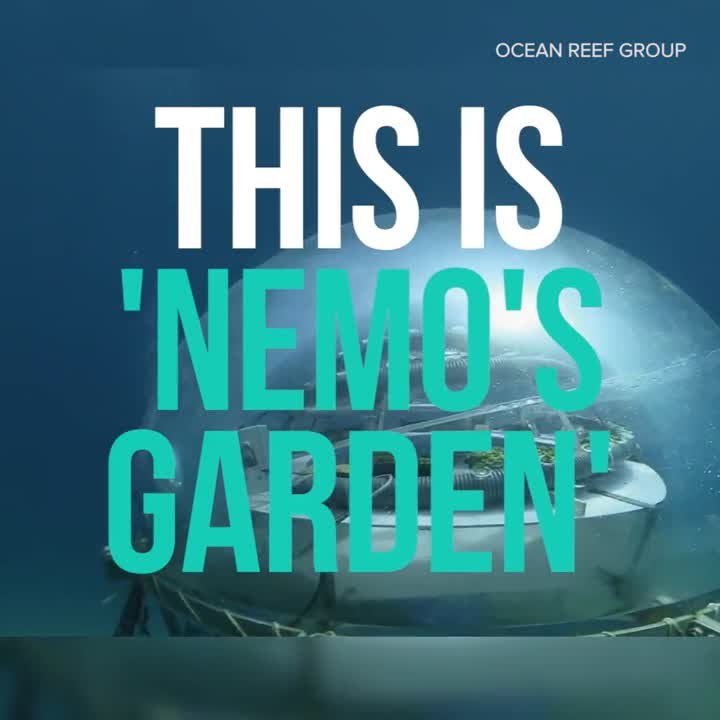 Underwater farming
