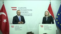 Dışişleri Bakanı Çavuşoğlu: 'Avusturya'nın da bu jestlere karşı adımlar atması lazım' - VİYANA