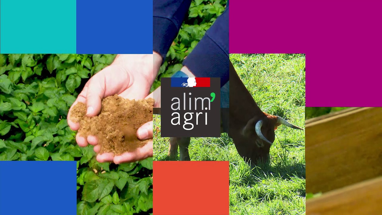 Egalité femmes-hommes dans l'enseignement agricole : Témoignage de Marie-Helène Poussin, professeure de biologie