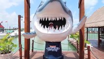 SWIMMING IN SHARK WATERS! We Have 2 Speed Boats - Family Fun Video For Kids