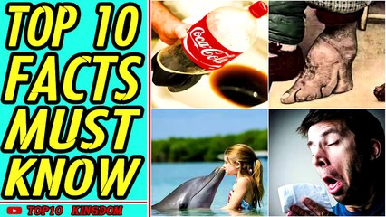 TOP 10 Strangest Facts You Must Know