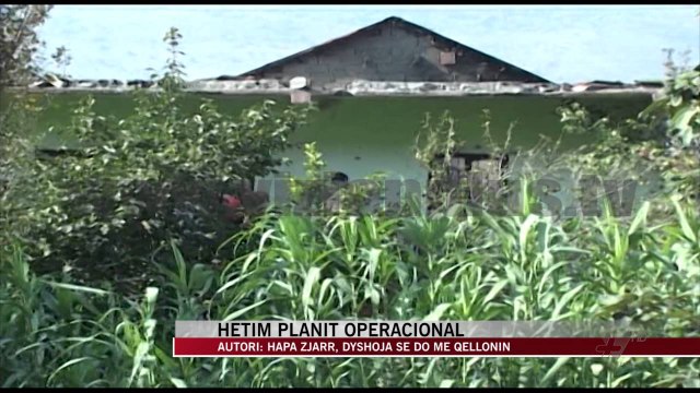 Hetimet për vrasjen e Ardian Kodrës - News, Lajme - Vizion Plus