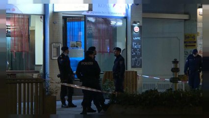 Viyana'da 4 kişiyi bıçakla yaralayan saldırgan yakalandı