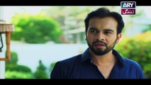 Mein Mehru Hoon Ep 63 - on ARY Zindagi in High Quality 8th March 2018