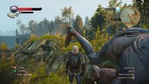 The Witcher 3 - Funniest glitches and bugs!
