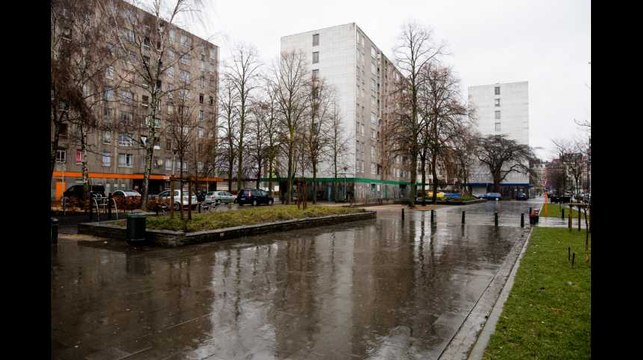 État des logements sociaux à Bruxelles : le PTB tire la sonnette d'alarme