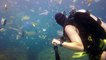 Un plongeur filme un océan de déchets dans les eaux de Bali et les images sont impressionnantes !