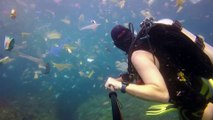 Un plongeur filme un océan de déchets dans les eaux de Bali et les images sont impressionnantes !