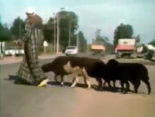 شكون باقي عاقل على هاد الاشهاراصحاب الجيل الدهبي سجلوا حضورك