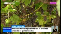 Canárias Aposta mais no Vinho do que a Madeira - Vinho Madeira Ameaçado pela Concorrência