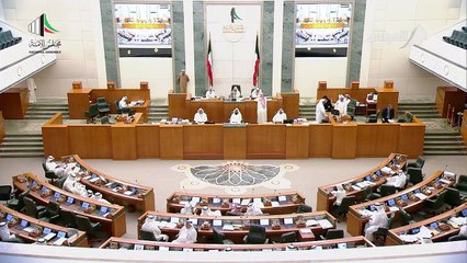 مداخلات النائب - صفاء الهاشم - 06-03-2018